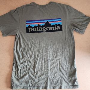 Patagonia tee